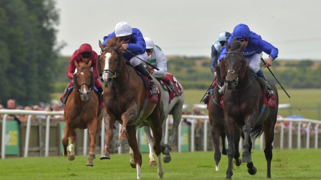 馬連で稼げる5つの買い方のコツをマスターして的中率アップを目指そう 競馬予想のコツって ポイントや考え方を解説します